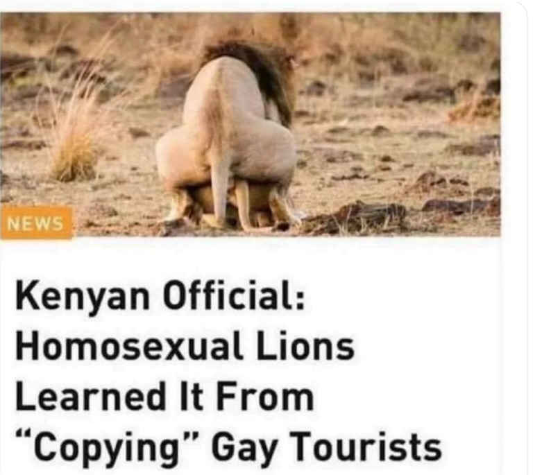 Kenyan Official: Homosexual Lions Learned It From "Copying" Gay Tourists